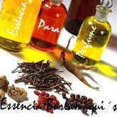 Essência Burlamaqui´s Tipo (M) DIABLO  100 ml para perfume